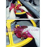 دانخوری بشقابی خروس دانخوری بشقابی خروس